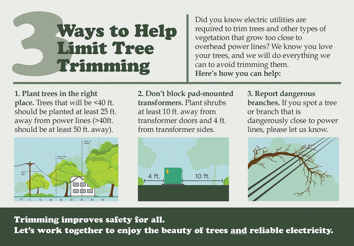 Three Ways to Help Limit Tree Trimming