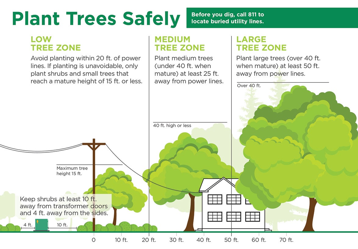 Plant Trees Safely